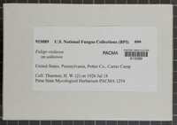 Image Associated With the Occurence